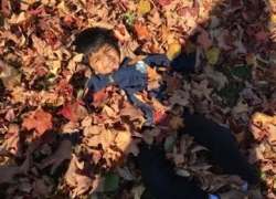 Fall Time Fun